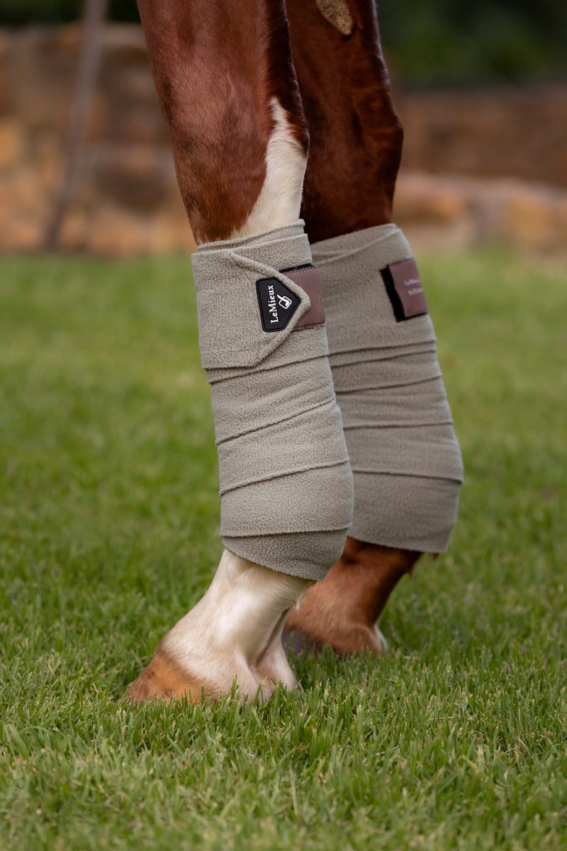 Indlæs billede i Gallery Viewer, SS24 LM Classic Polo Bandages Fern
