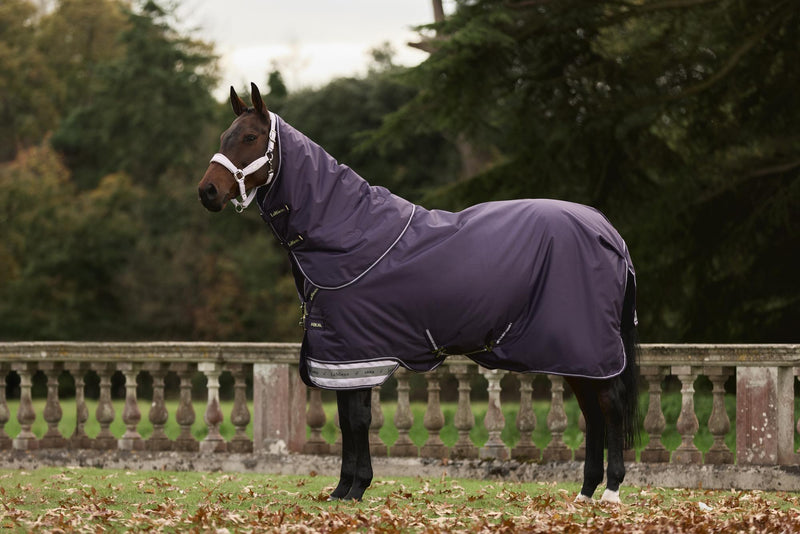 Indlæs billede i Gallery Viewer, AW25 LM Arika Ripstop 0g Turnout Rug Juniper