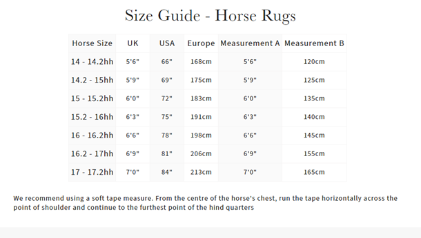 Indlæs billede i Gallery Viewer, LM Kudos Turnout Rug 350g Navy