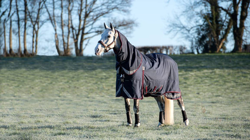 Indlæs billede i Gallery Viewer, LM Kudos Turnout Rug 350g Navy