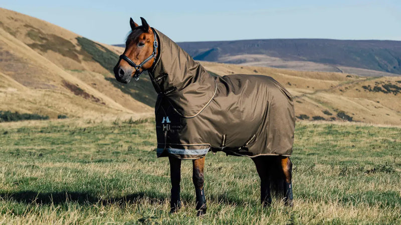 Indlæs billede i Gallery Viewer, LM(F) CORE Arika Ripstop Turnout Rug 100g Alpine