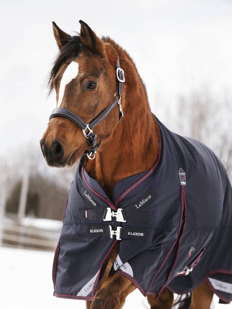 Indlæs billede i Gallery Viewer, LM Kudos Turnout Rug 350g Navy