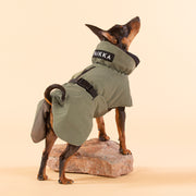 Indlæs billede i Gallery Viewer, PAIKKA WINTER Jacket