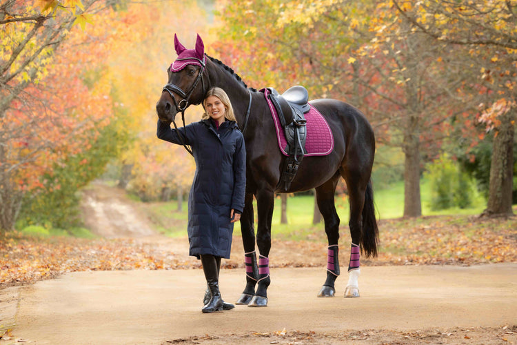 AW26 Blackberry