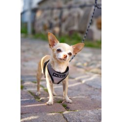 PAIKKA Visibility Harness