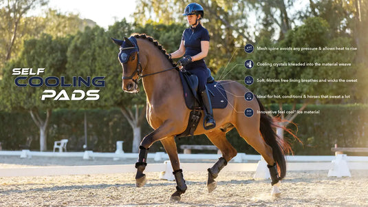 LM(F) CORE Self-Cool Dressage Square Grey