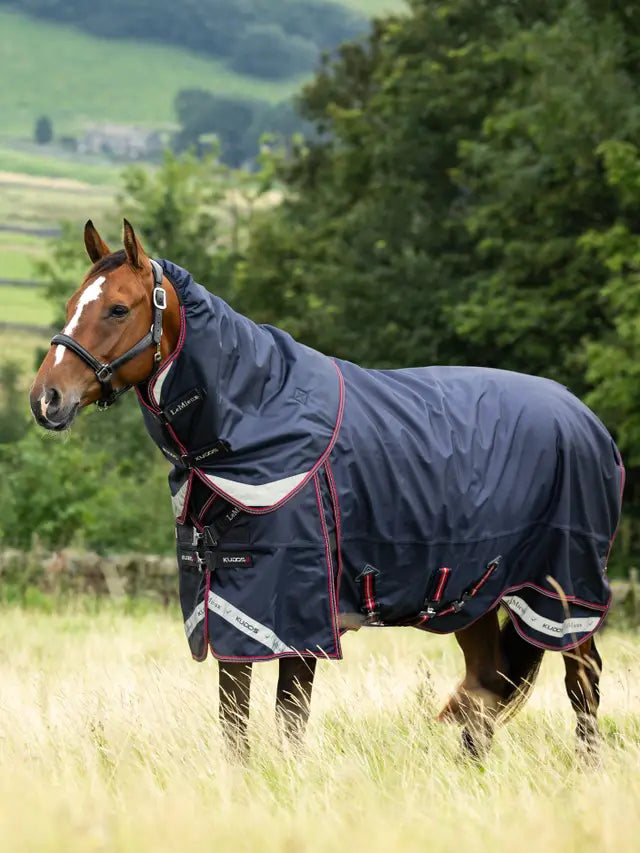 Indlæs billede i Gallery Viewer, LM(F) CORE Kudos Thermo Layer Turnout Rug 300g Navy
