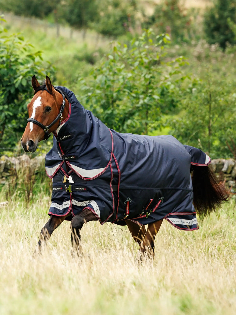 Indlæs billede i Gallery Viewer, LM(F) CORE Kudos Thermo Layer Turnout Rug 300g Navy
