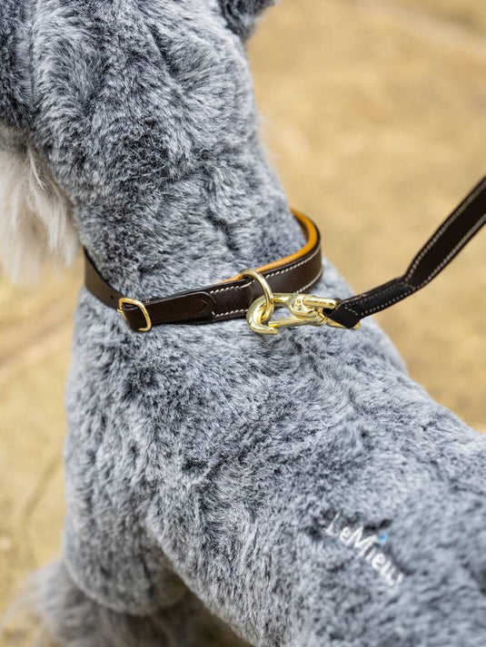 AW24 Toy Puppy Collar & Lead Ginger/Brown