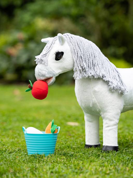 LM Toy Pony Treat Bucket Multi