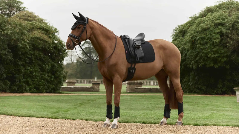 Indlæs billede i Gallery Viewer, LM CORE Essence Dressage Square Black
