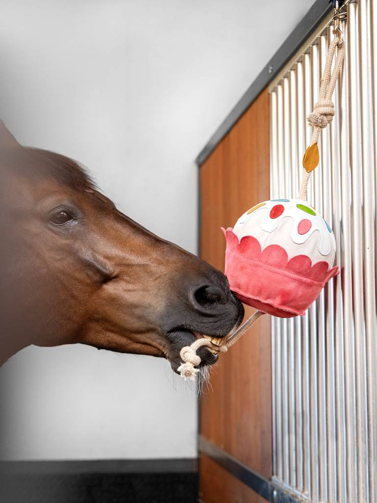 Indlæs billede i Gallery Viewer, LM Horse Toy, One Size, Cupcake
