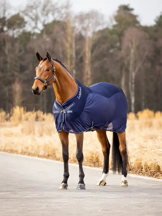 LM(F) CORE Kudos Mesh Sports Cooler Rug Navy