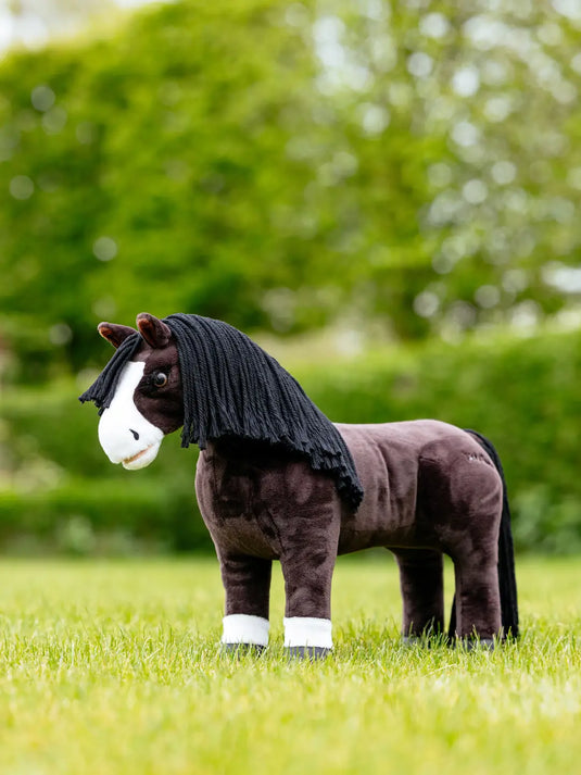 LM Toy Pony Franklin (Limited Edition)