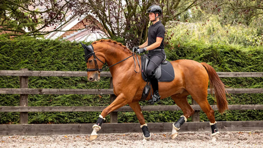 LM(F) CORE Soft Shell Anti-Slip Dressage Square