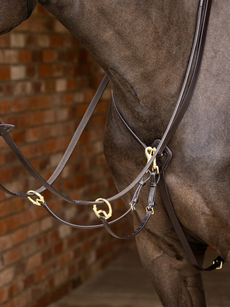 Indlæs billede i Gallery Viewer, LM(F) CORE Kudos Running Martingale Brown/Brass
