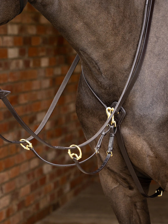 LM(F) CORE Kudos Running Martingale Brown/Brass