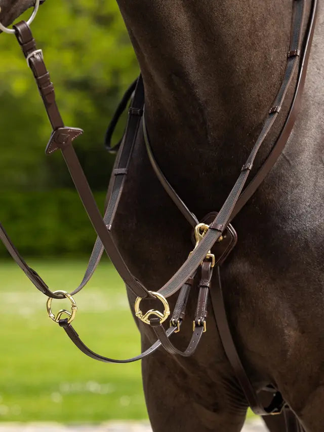 Indlæs billede i Gallery Viewer, LM(F) CORE Kudos Running Martingale Havana/Brass

