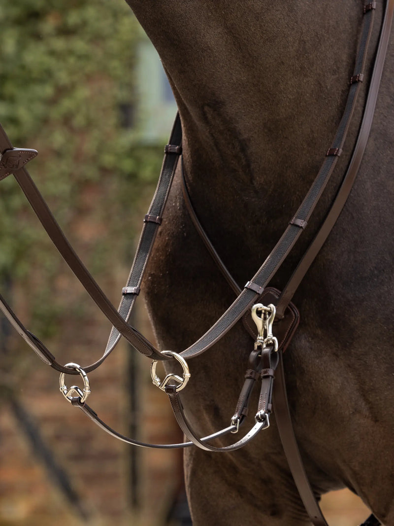 Indlæs billede i Gallery Viewer, LM(F) CORE Kudos Running Martingale Havana/Silver
