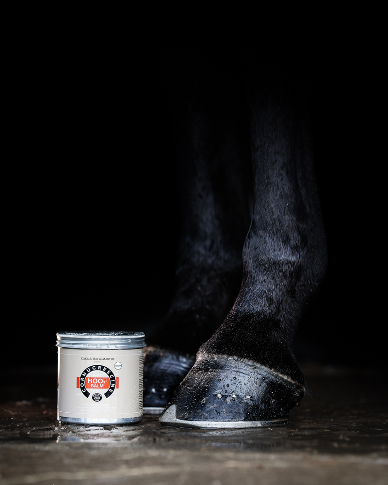 Indlæs billede i Gallery Viewer, CDM DAILY HOOF BALM CLEAR (NATUR)
