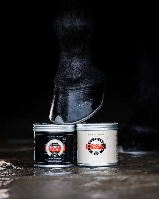 CDM DAILY HOOF BALM CLEAR (NATUR)