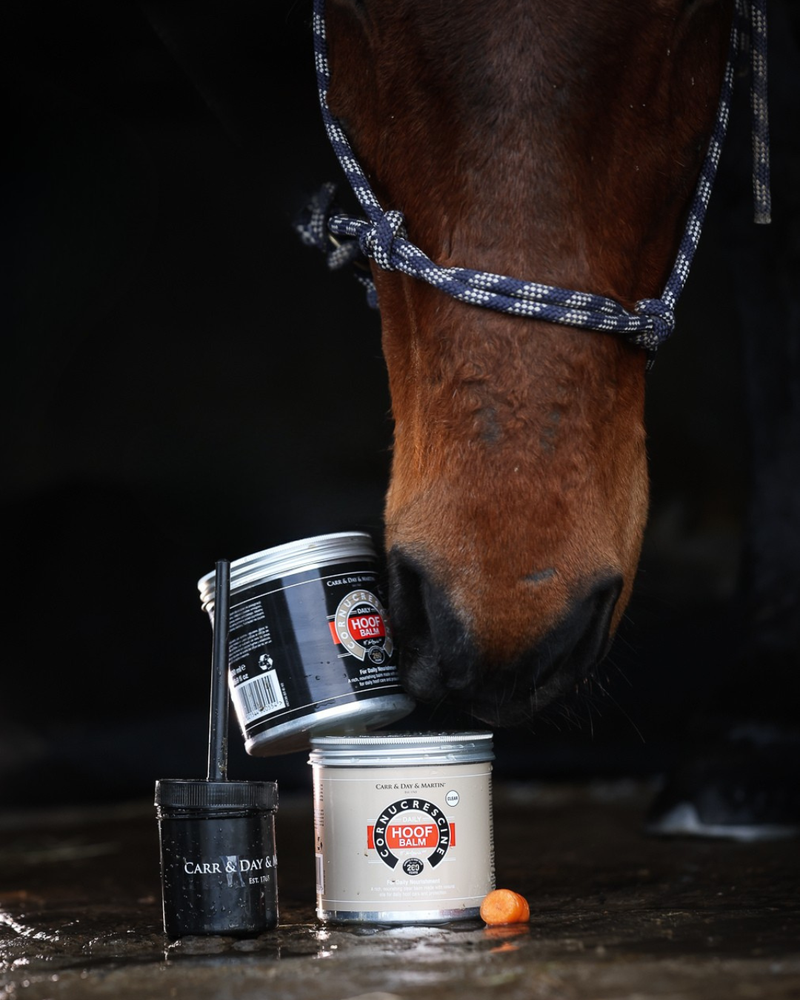 Indlæs billede i Gallery Viewer, CDM DAILY HOOF BALM CLEAR (NATUR)

