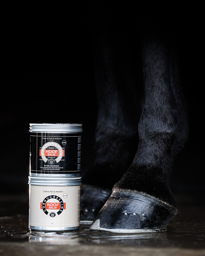 Indlæs billede i Gallery Viewer, CDM DAILY HOOF BALM CLEAR (NATUR)
