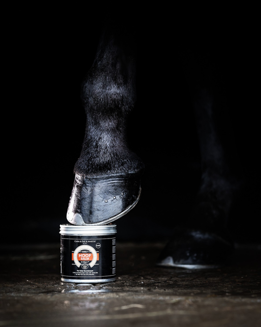 CDM DAILY HOOF BALM CLEAR BLACK (SORT)