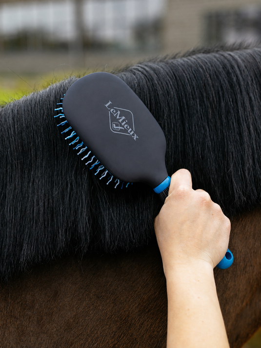 LM CORE Tangle Tidy Plus Blue