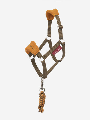 AW24 Hobby Horse Vogue Headcollar Alpine