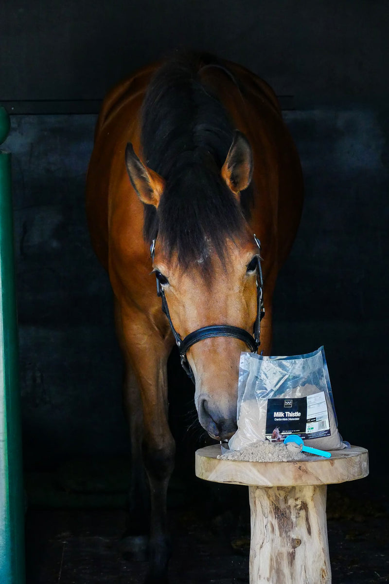 Indlæs billede i Gallery Viewer, NAF MILK THISTLE POWDER

