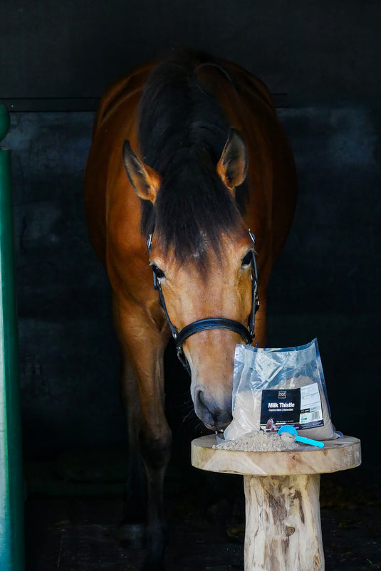 NAF MILK THISTLE POWDER