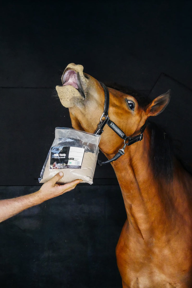 Indlæs billede i Gallery Viewer, NAF MILK THISTLE POWDER
