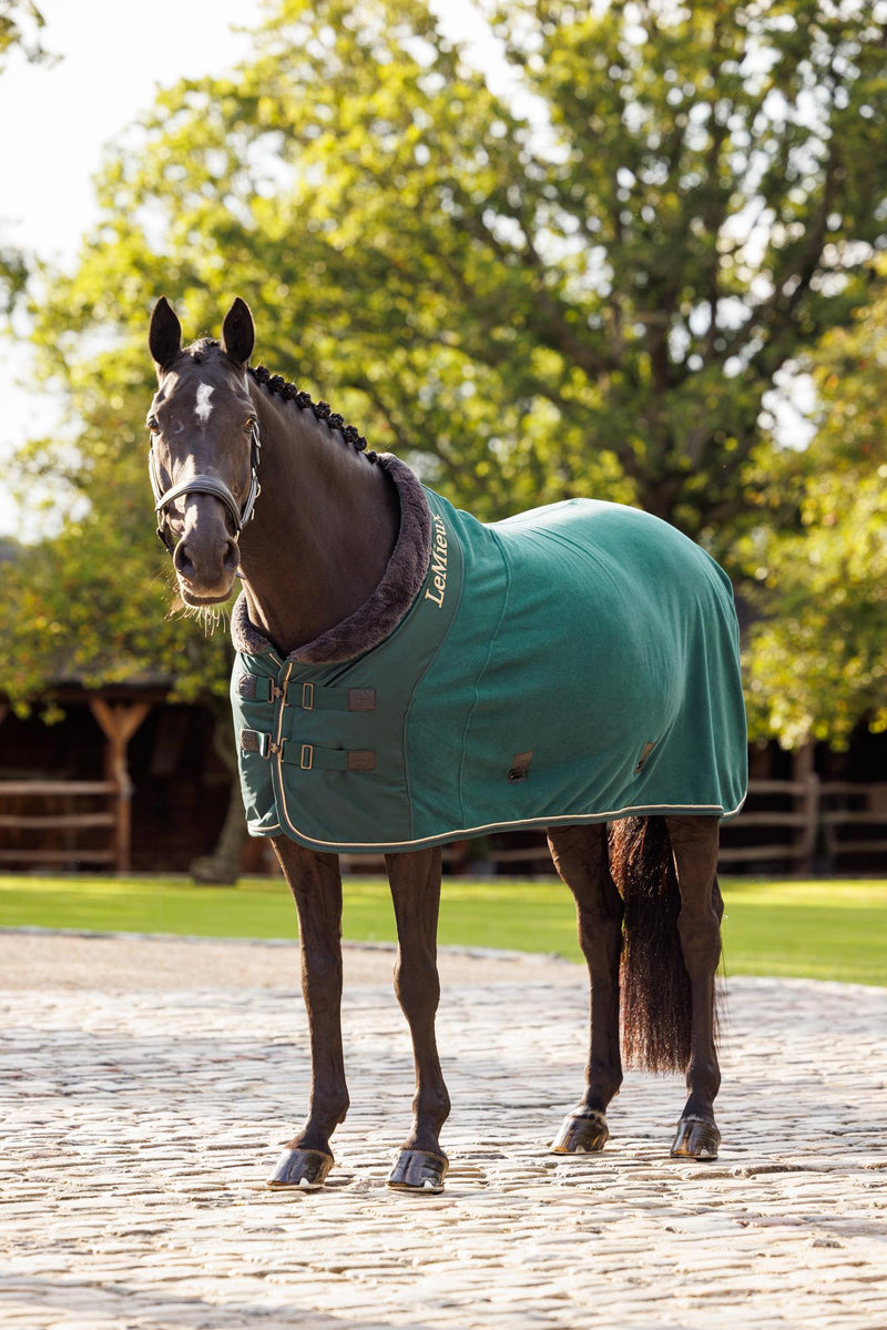 Indlæs billede i Gallery Viewer, LM Luxe Fleece Rug Spruce
