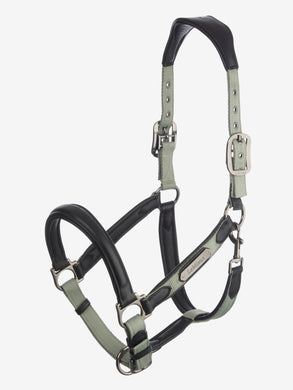 SS24 LM Capella Headcollar Thyme