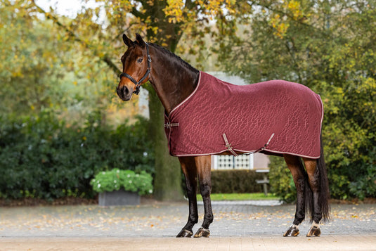 LM(F) CORE Arika Monogram Fleece Rug Burgundy