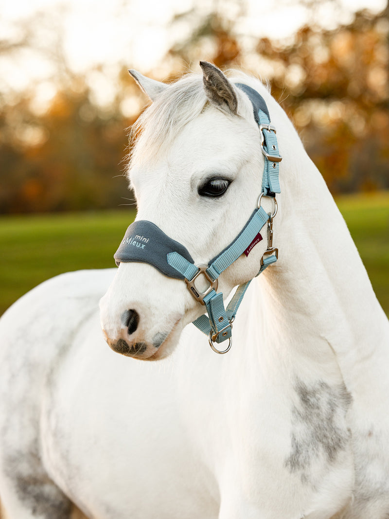 Indlæs billede i Gallery Viewer, AW24 Mini Vogue Headcollar Glacier
