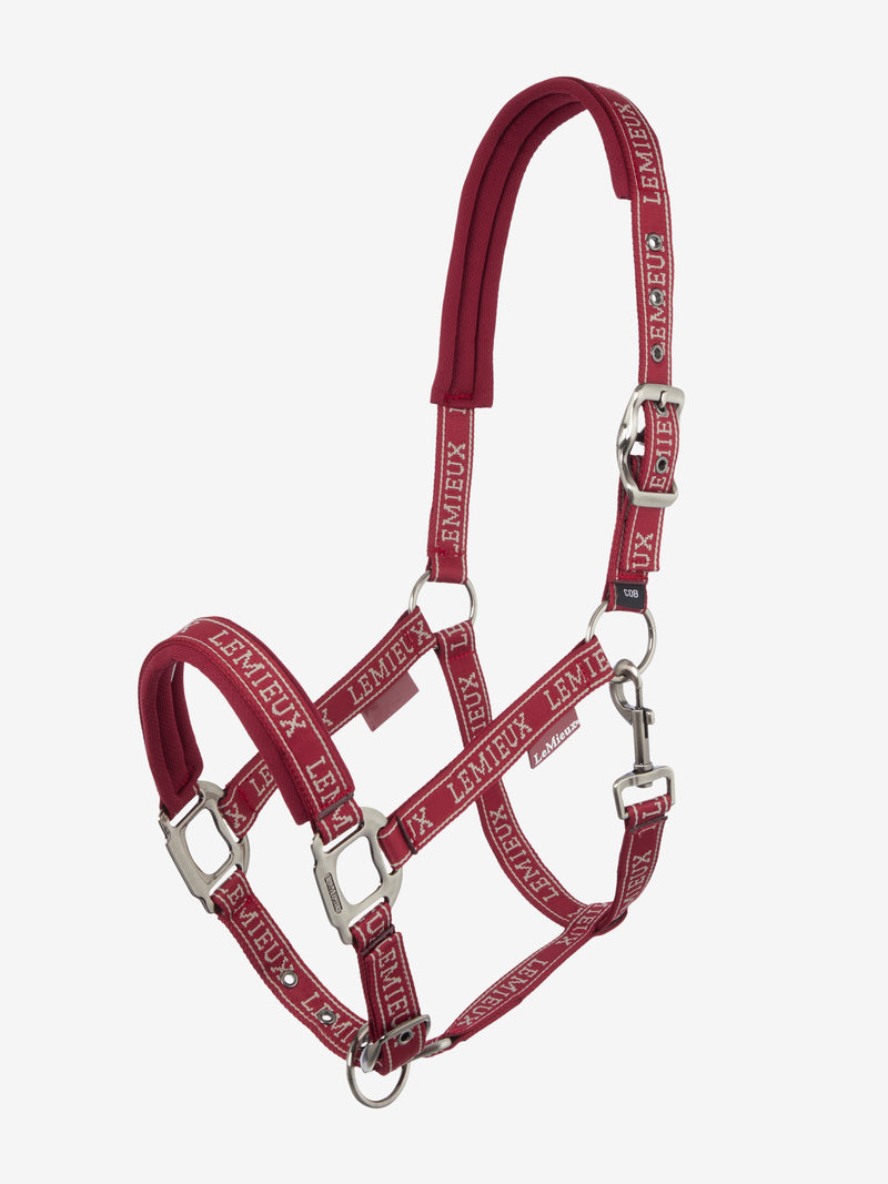 Indlæs billede i Gallery Viewer, AW24 Logo Headcollar Ember
