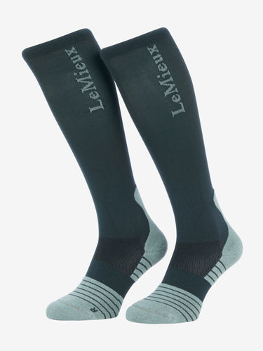 AW24 Performance Sock Petrol