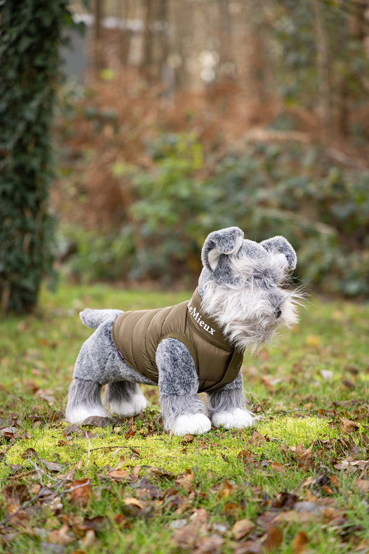 LM Toy Puppy (Schnauzer) Cooper