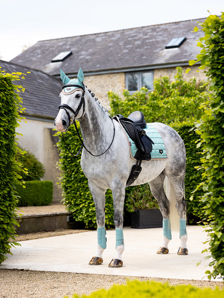 Indlæs billede i Gallery Viewer, SS25 Loire Classic Dressage Square Aqua
