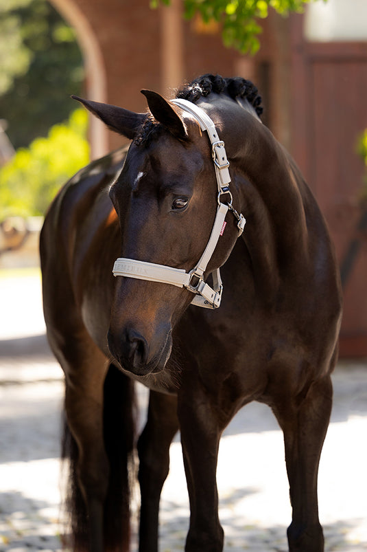 SS25 Essence Headcollar Stone
