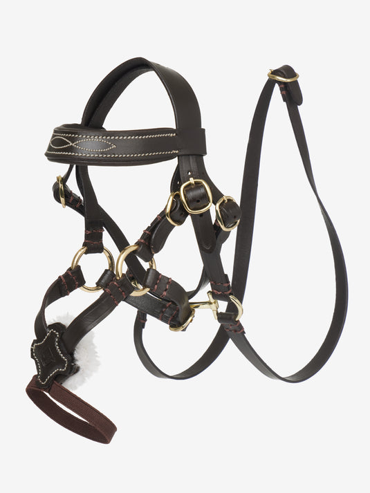 SS25 Toy Pony Grackle Bridle Brown