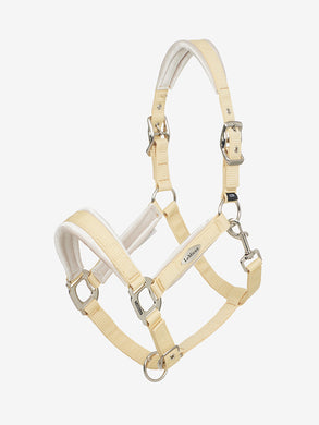 SS25 Versailles Headcollar Mimosa