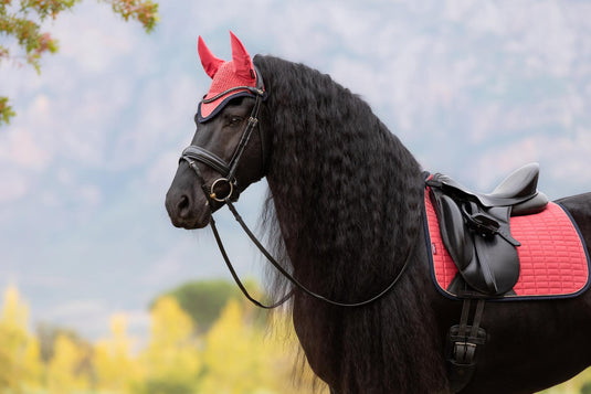 AW25 LM Classic Fly Hood Cranberry