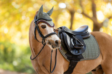 AW25 LM Mini Classic Fly Hood Rosemary
