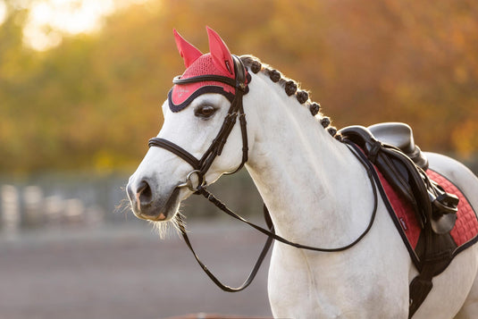AW25 LM Mini Classic Fly Hood Cranberry
