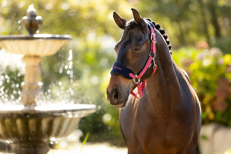 Indlæs billede i Gallery Viewer, AW25 LM Vogue Headcollar &amp; Leadrope Cranberry
