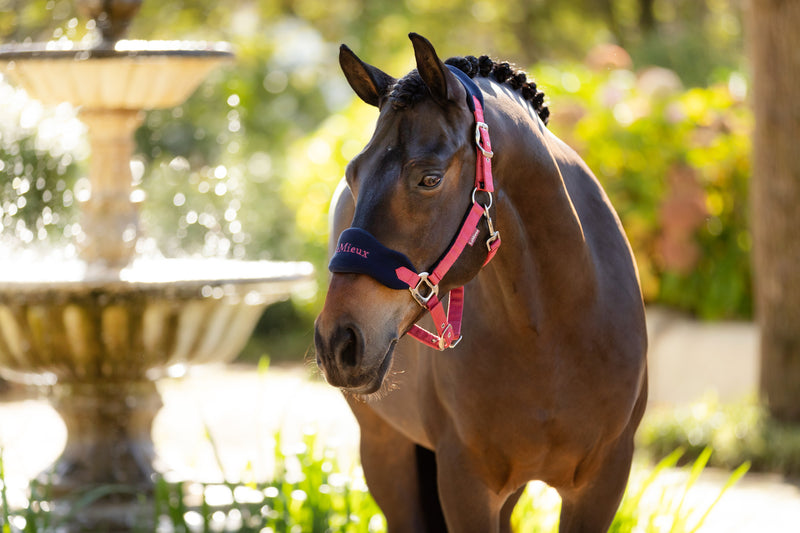 Indlæs billede i Gallery Viewer, AW25 LM Vogue Headcollar &amp; Leadrope Cranberry
