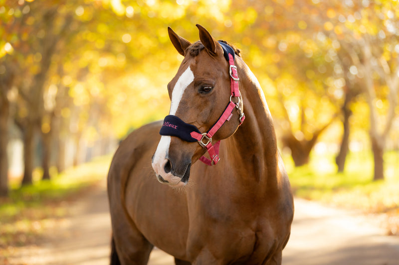 Indlæs billede i Gallery Viewer, AW25 LM Vogue Headcollar &amp; Leadrope Cranberry
